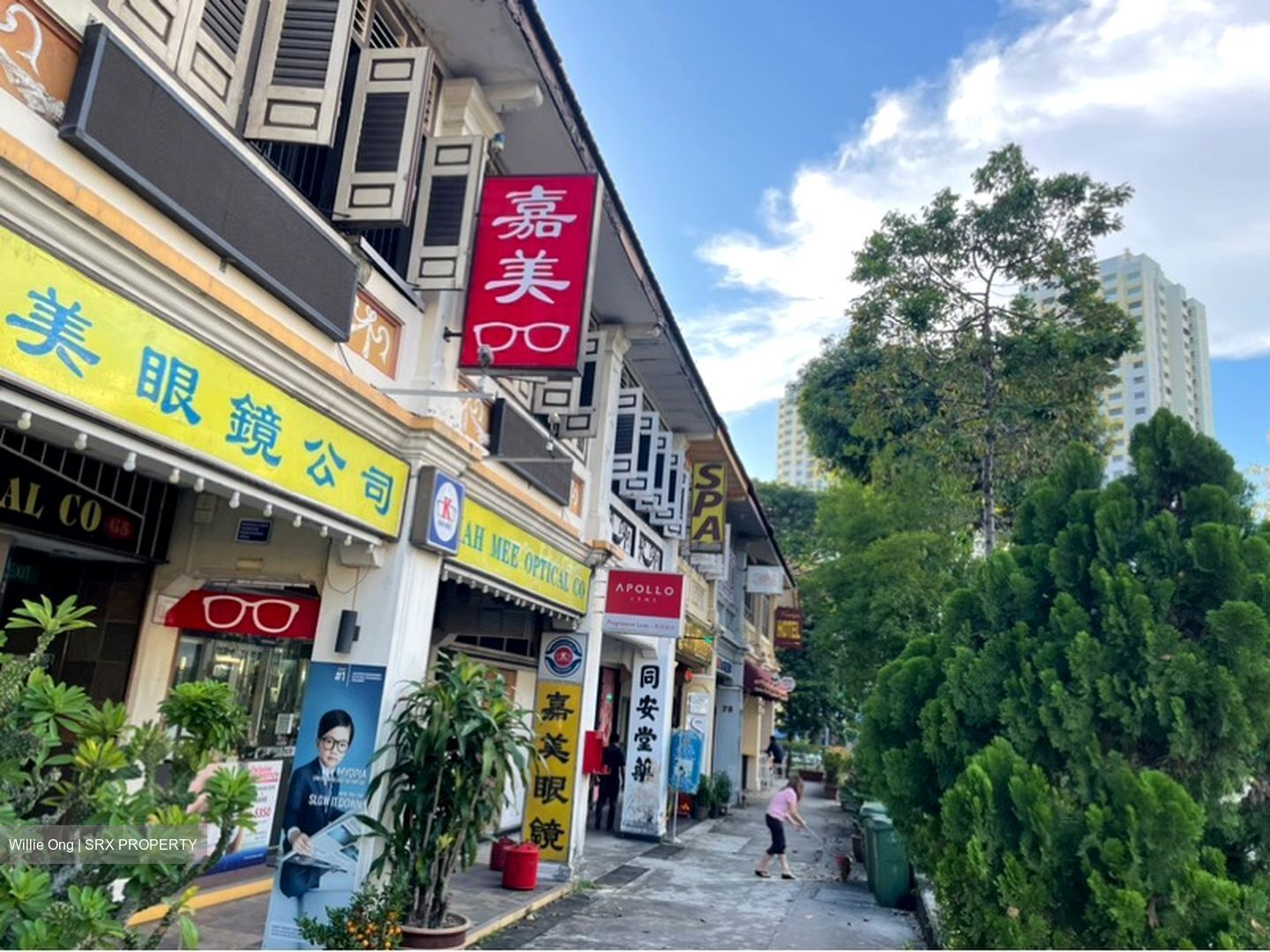Tiong Bahru Road (D3), Shop House #596332041